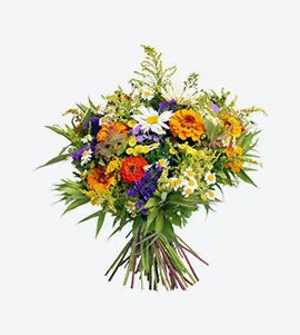Antalya  Flower
