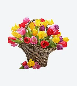 Antalya  Flower